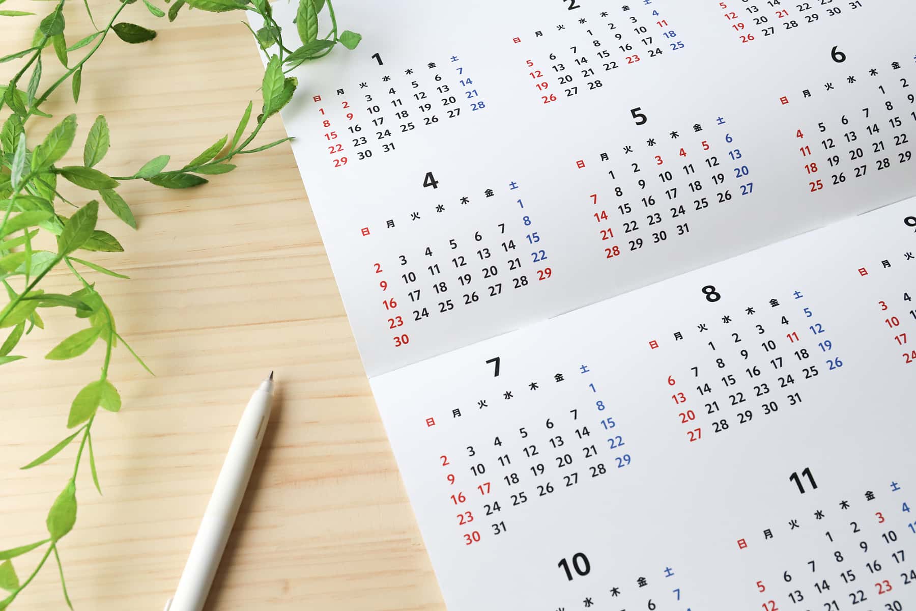 歯列矯正にかかる期間を示す年間カレンダー