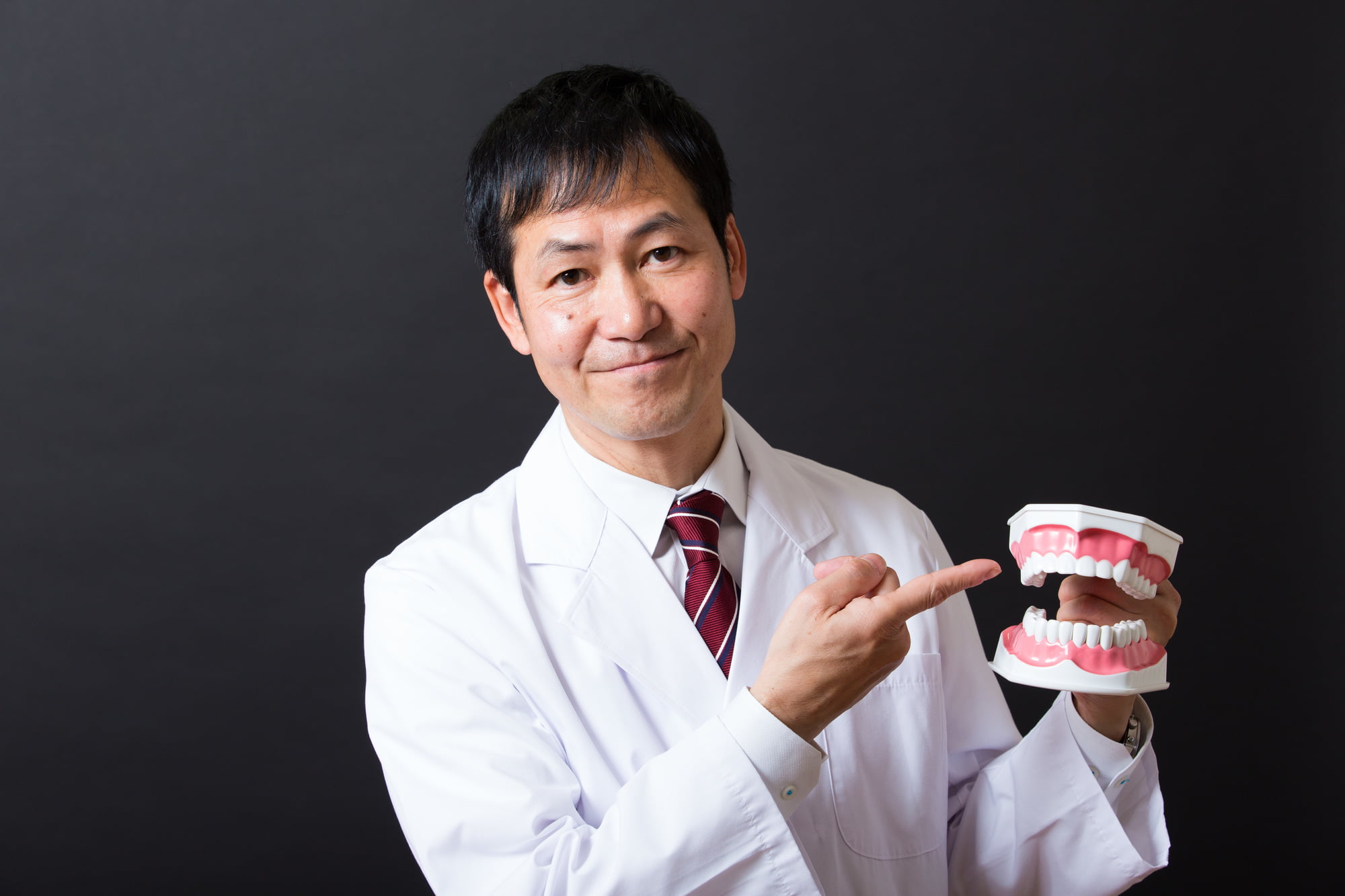 歯列矯正に時間がかかる理由について歯の模型で説明する歯科医